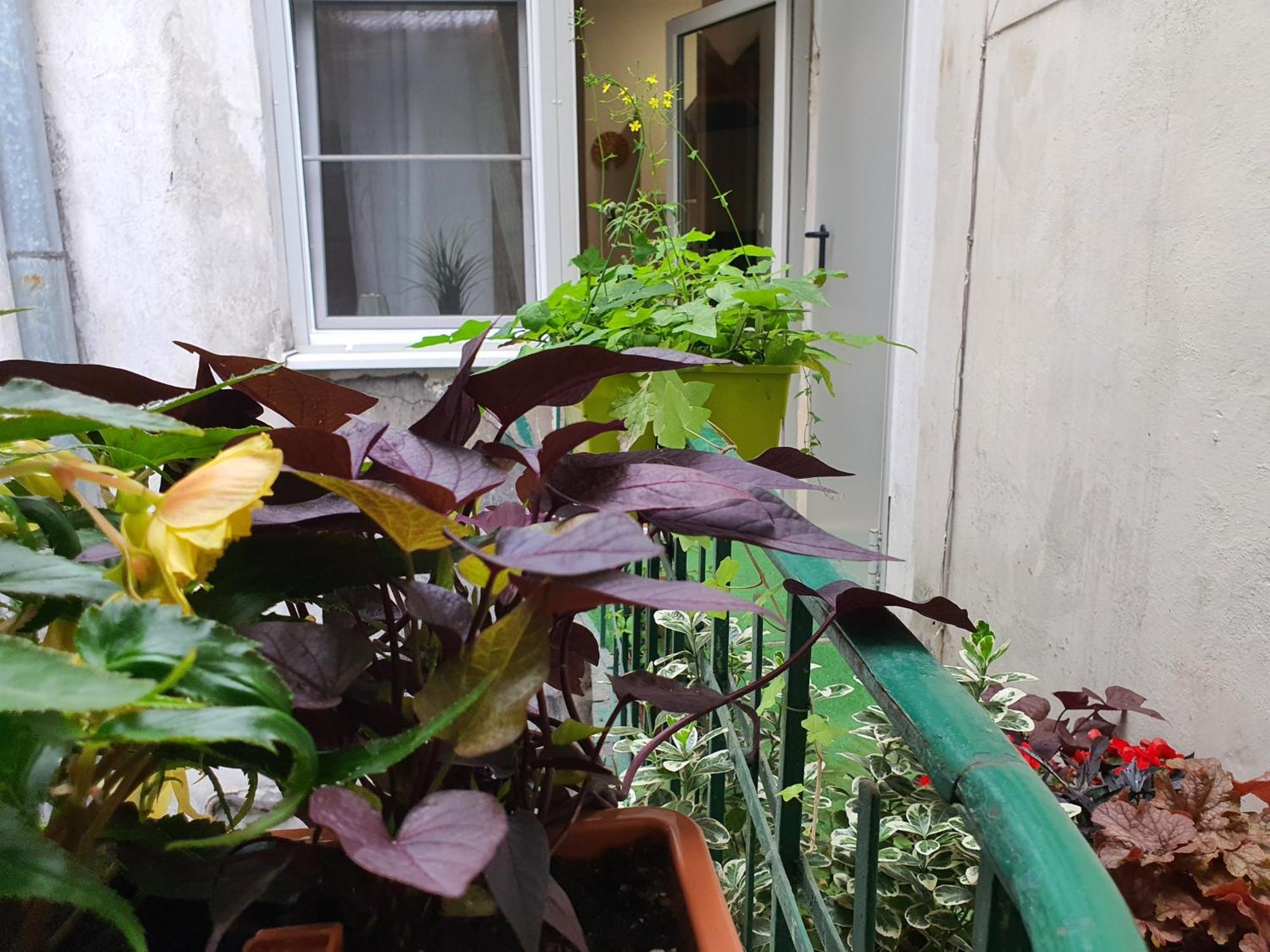 Ok Lux Apartments Kraków Zewnętrze zdjęcie